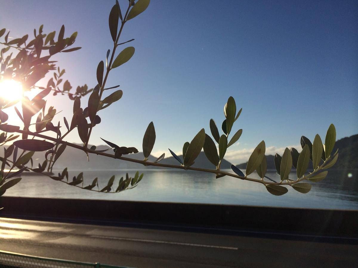 Shodoshima Olive Youth Hostel 외부 사진