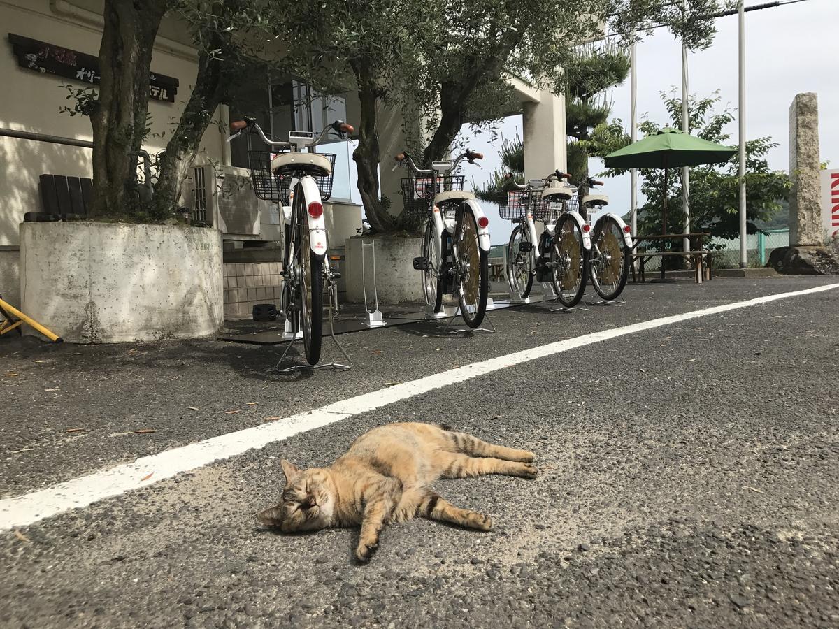 Shodoshima Olive Youth Hostel 외부 사진